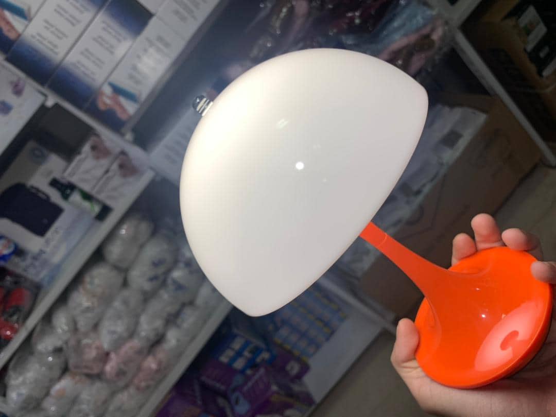 Lampe de Table LED Motif Champignon Design Unique - Décoration - صورة 11