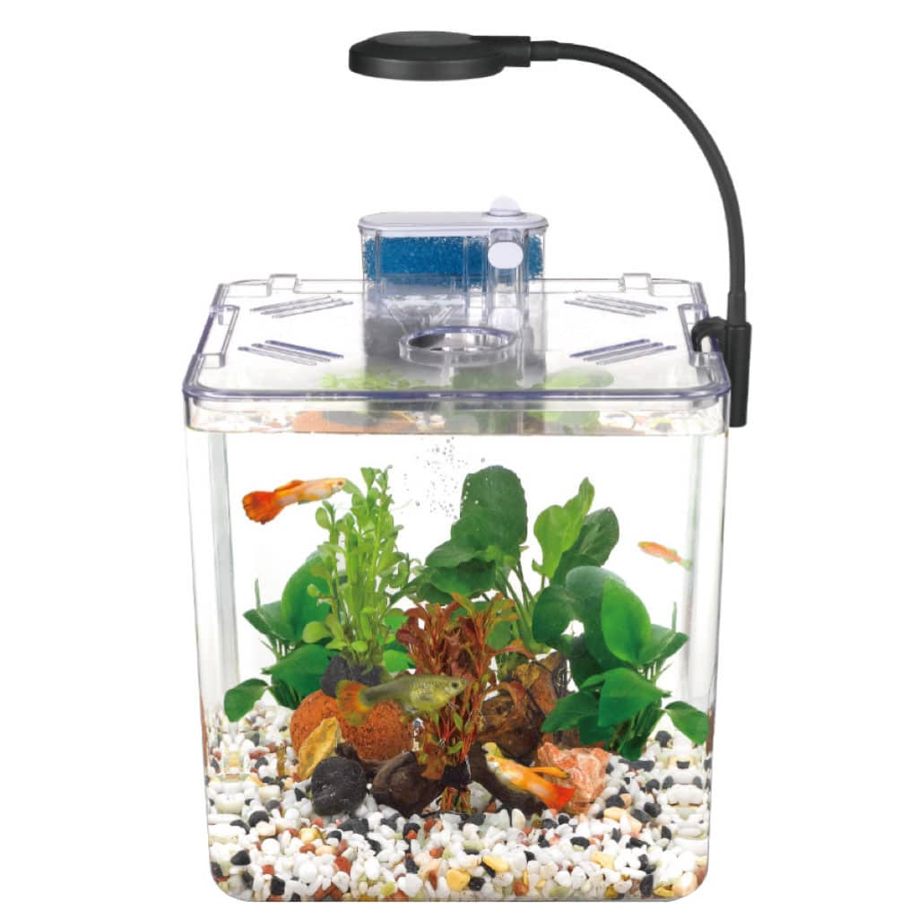 Kit mini aquarium nanbor avec système de filtrage et lampe led – حوض أسماك مع مصباح - Décoration - صورة 3