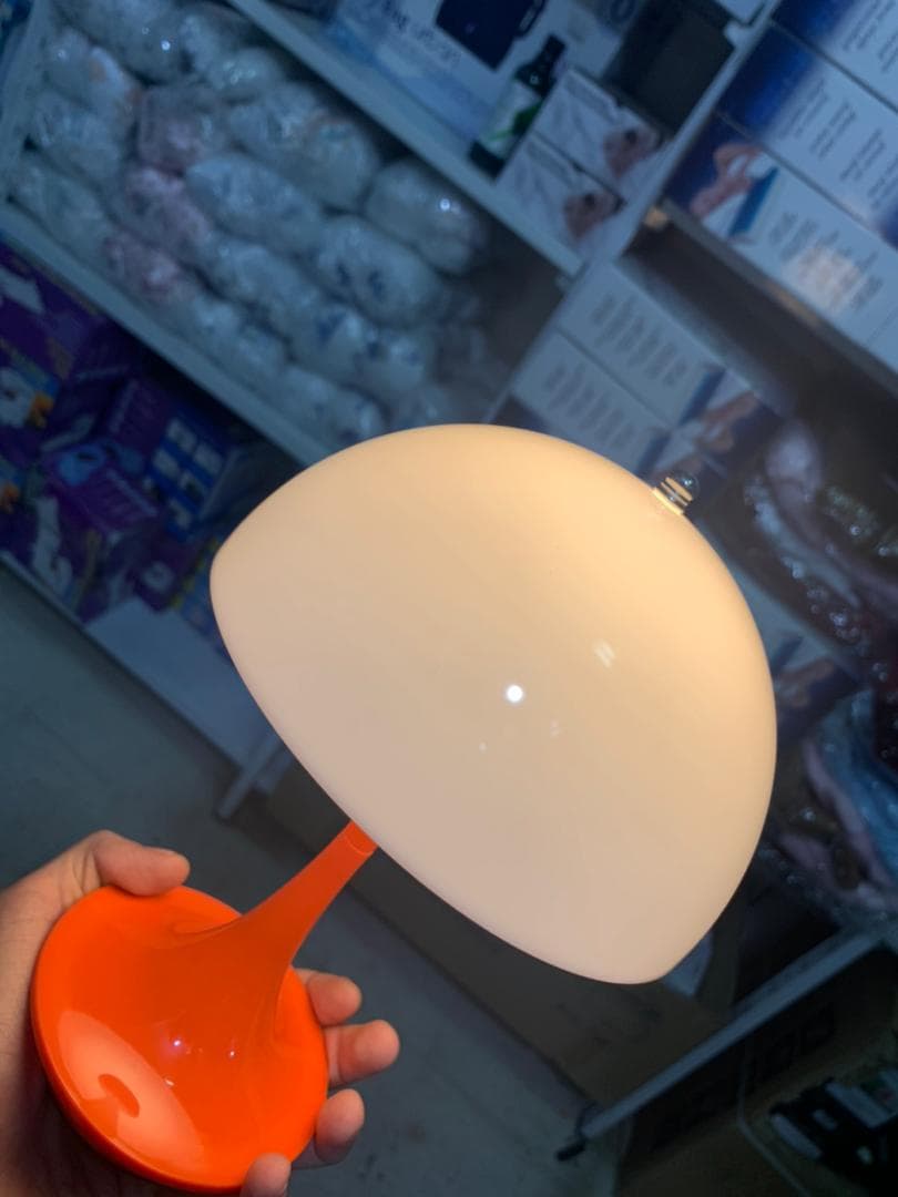Lampe de Table LED Motif Champignon Design Unique - Décoration - صورة حقيقية 9
